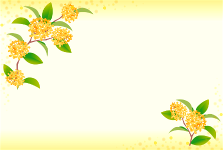 Fragrant olive