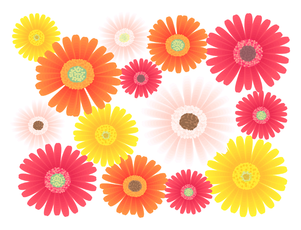 Gerbera flower