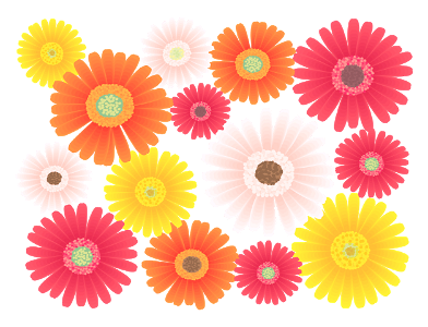 Gerbera flower