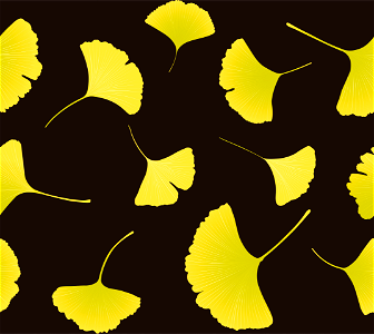 Ginkgo leaves
