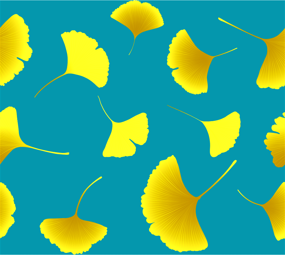 Ginkgo leaves