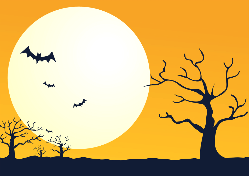 Halloween moon bat