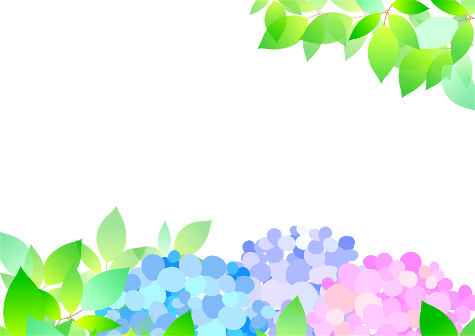 Hydrangea green leaves