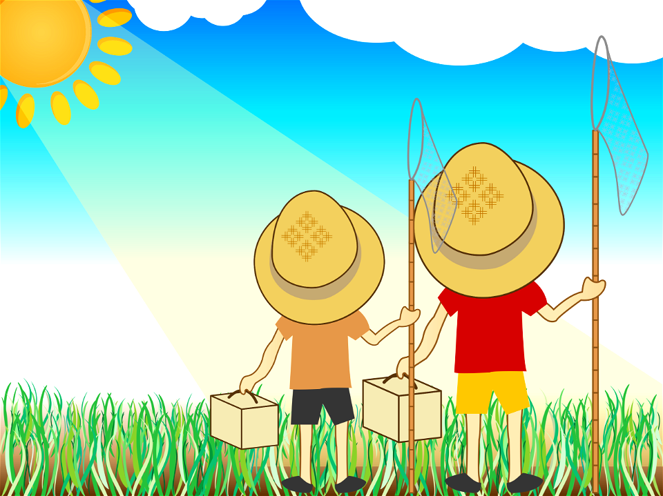 Insect collecting