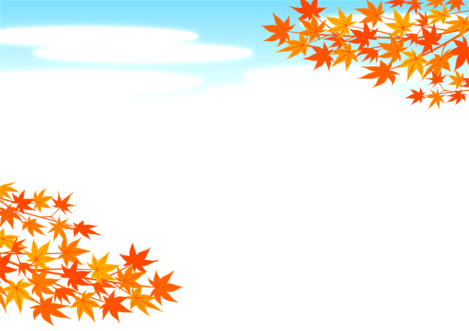 Maple autumn leaves