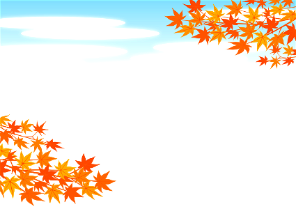 Maple autumn leaves