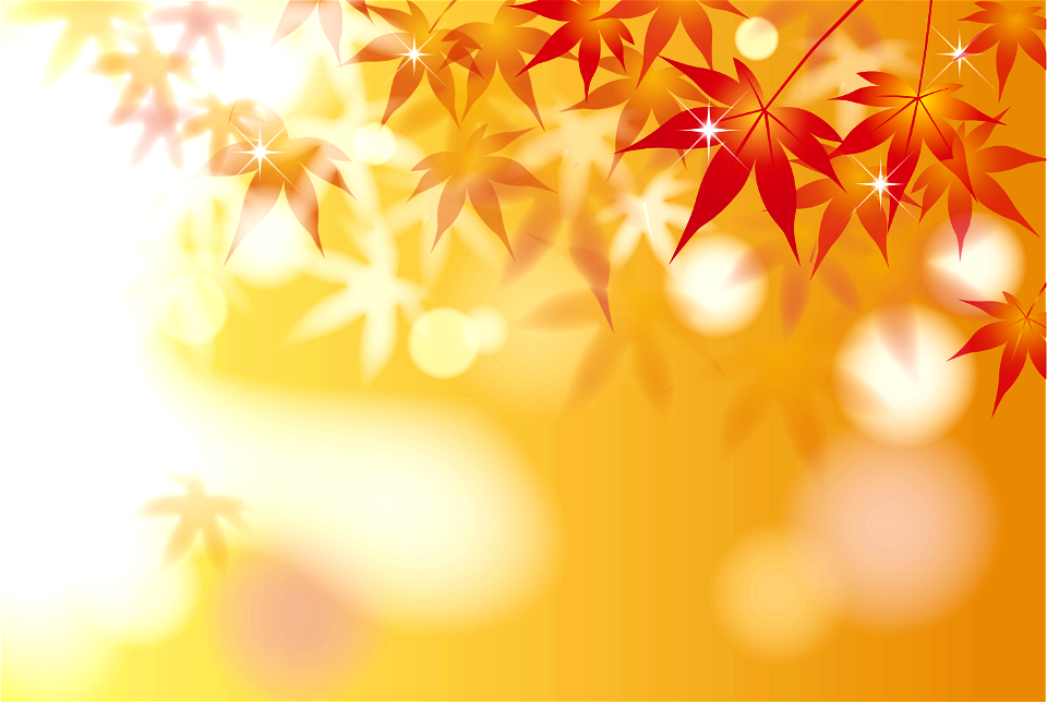 Maple autumn
