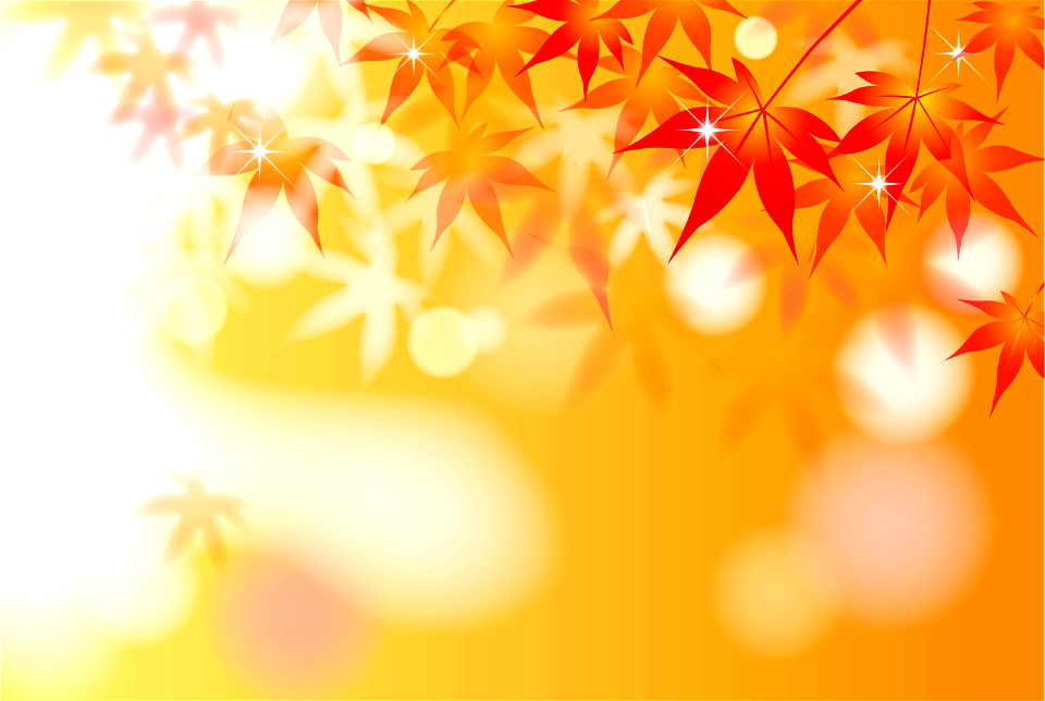 Maple autumn