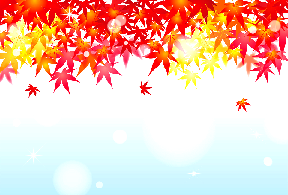 Maple leaves autumn