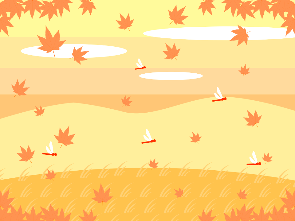 Maple red dragonfly