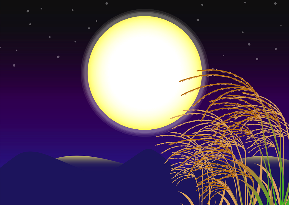 Moon silver grass