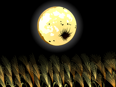 Moon susuki grass