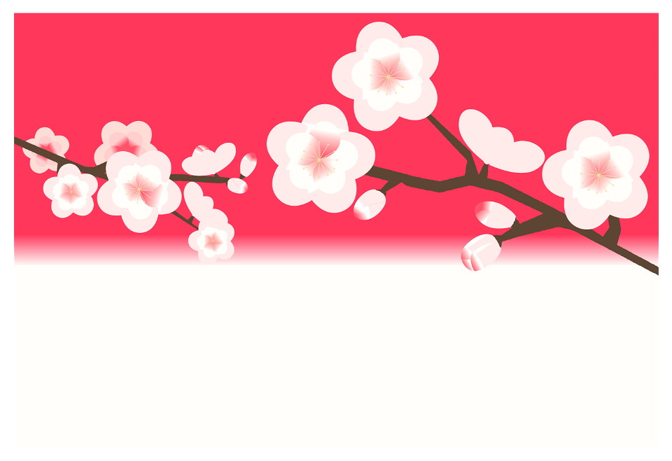 Plum blossoms
