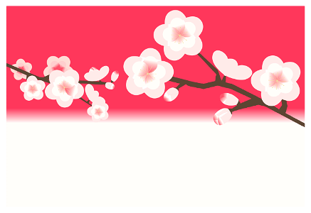 Plum blossoms