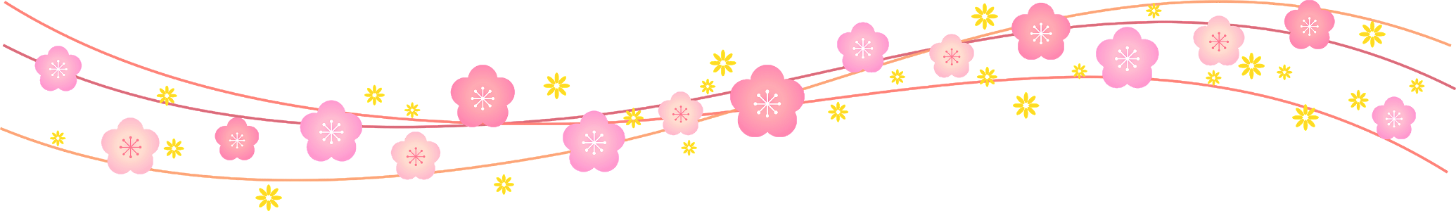 Plum blossoms background