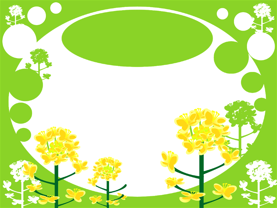 Rape blossoms background