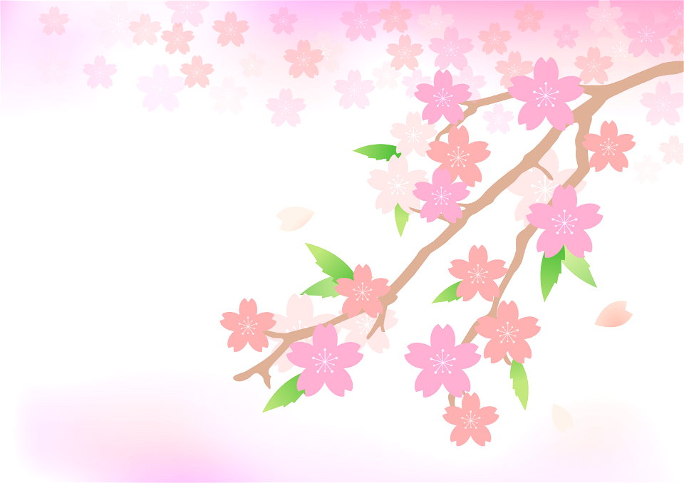 Sakura branch
