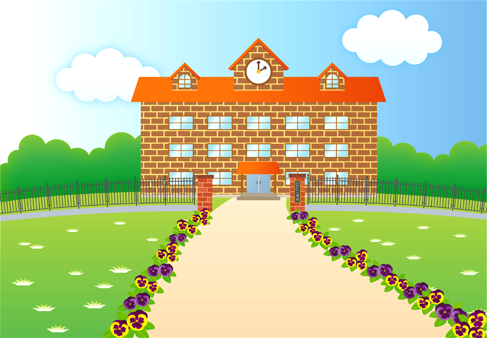 School pansy