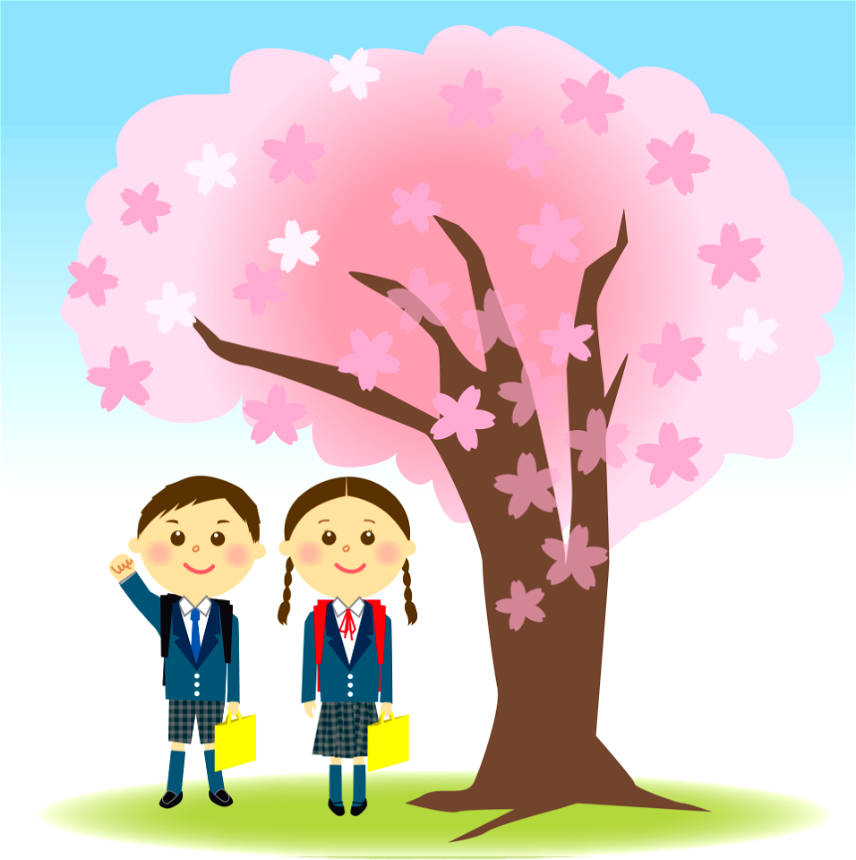 Schoolchildren cherry blossoms