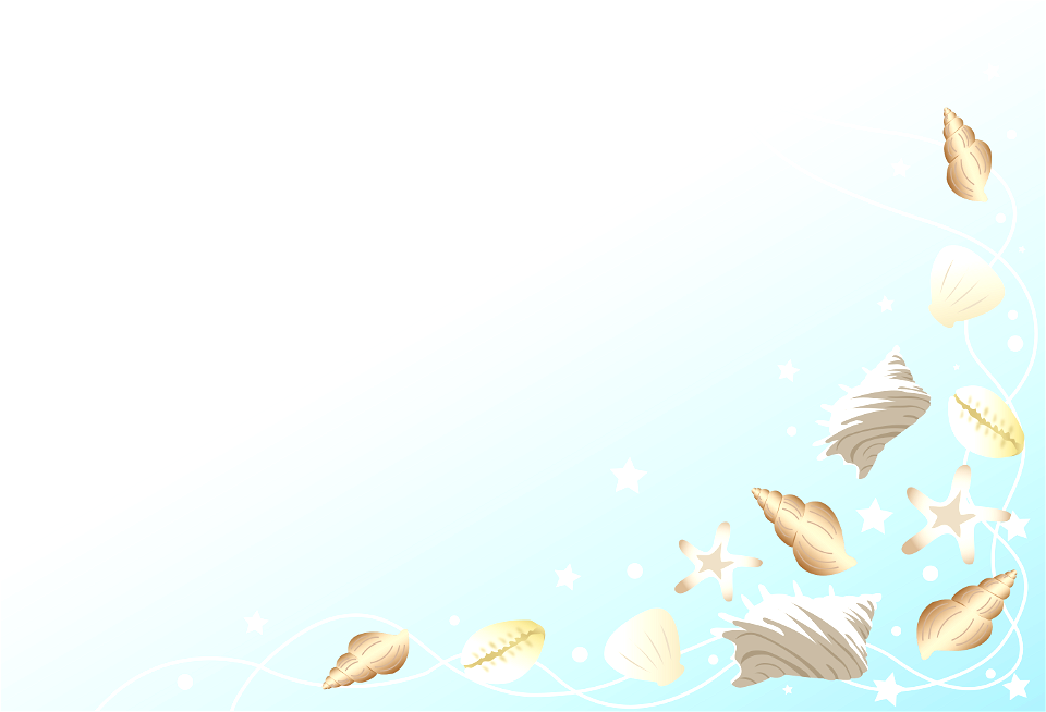 Shell summer sea