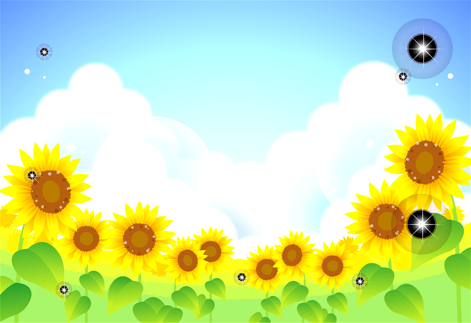 Sunflower summer