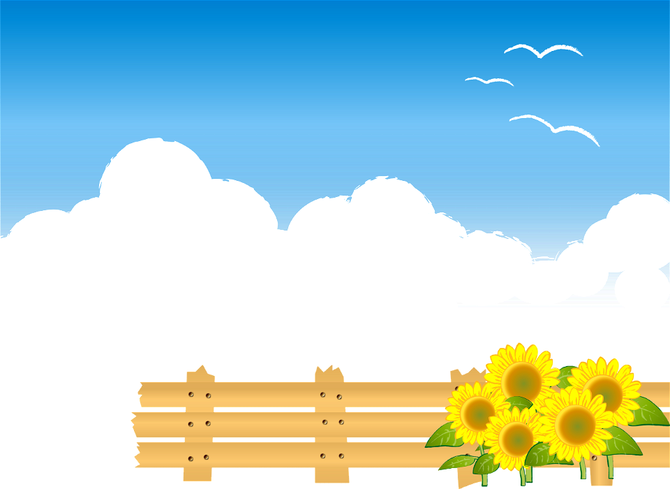 Sunflower summer