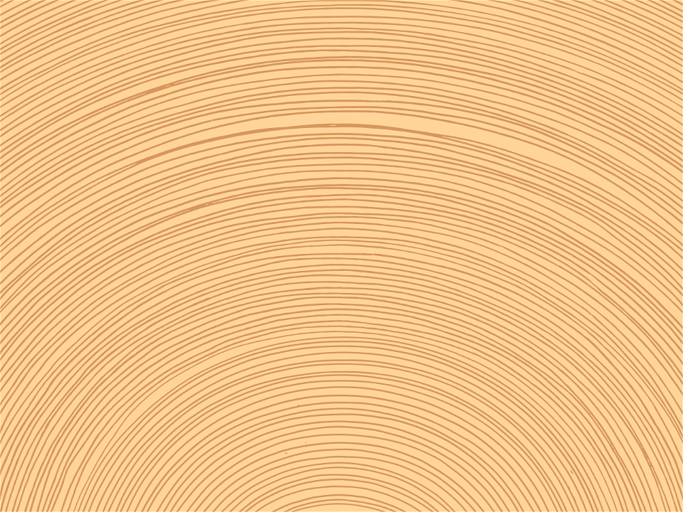 Tree rings background