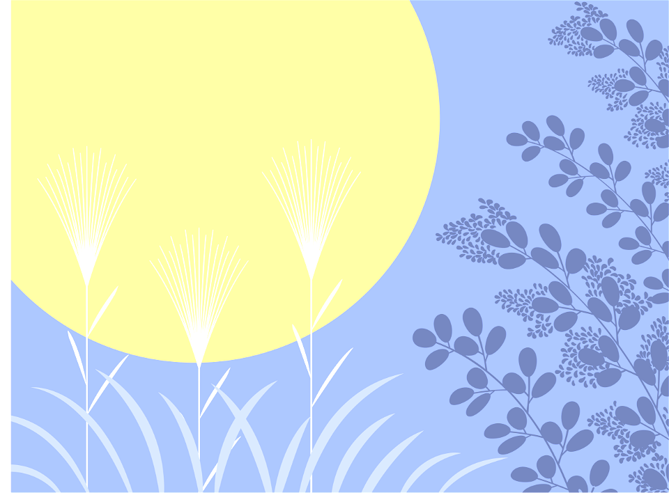 Tsukimi moon