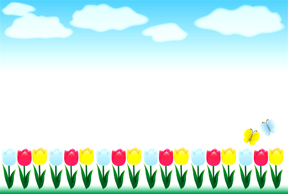 Tulips sky frame