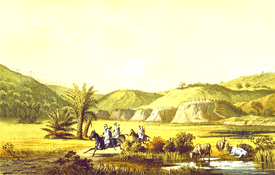 African scene 40 - Rafin Fogha