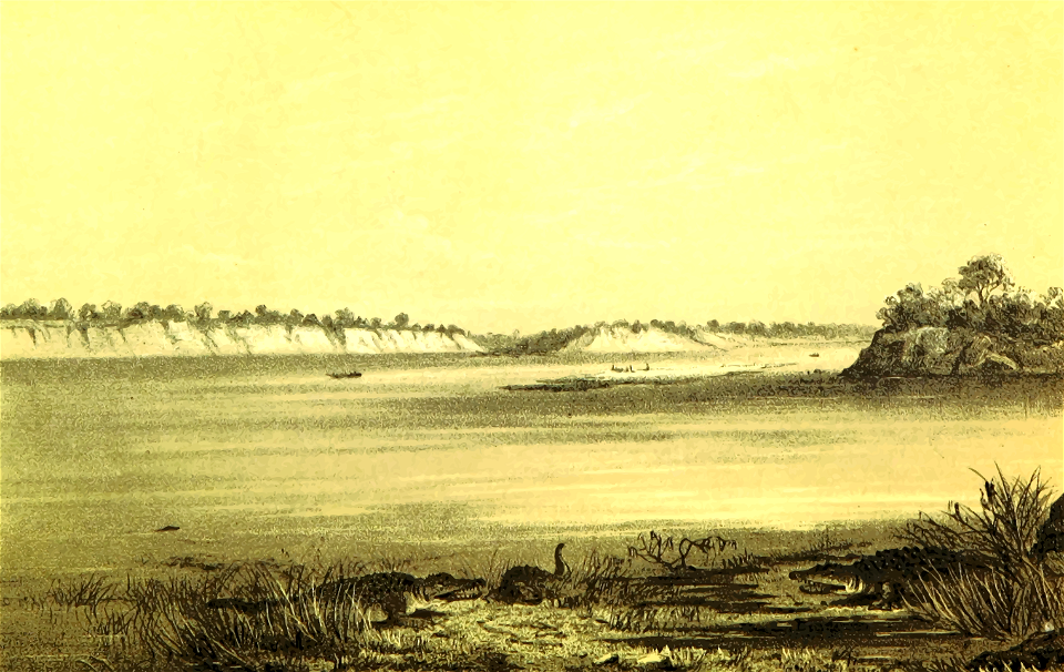 African scene 42 - The Shary At Mele