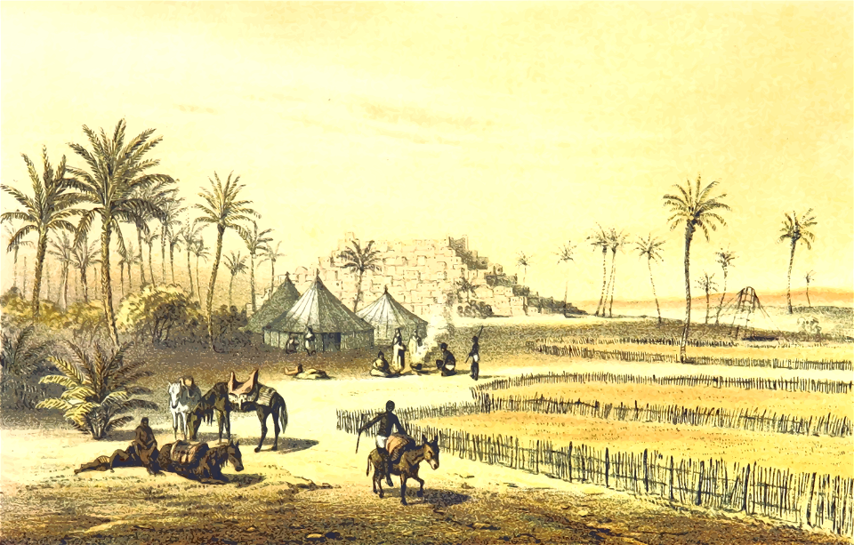 African scene 16 - Ederi 2