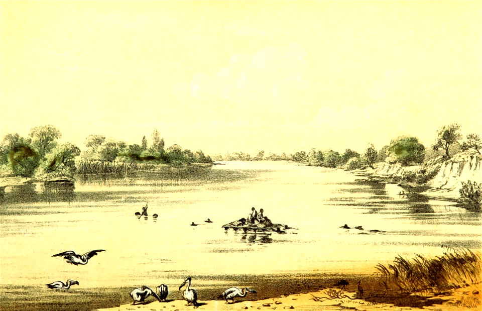 African scene 13 - The Komadugu at Zengiri