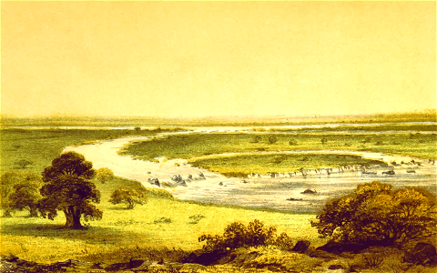 African scene 9 - Rapids of the Niger at Em-N-Ishib