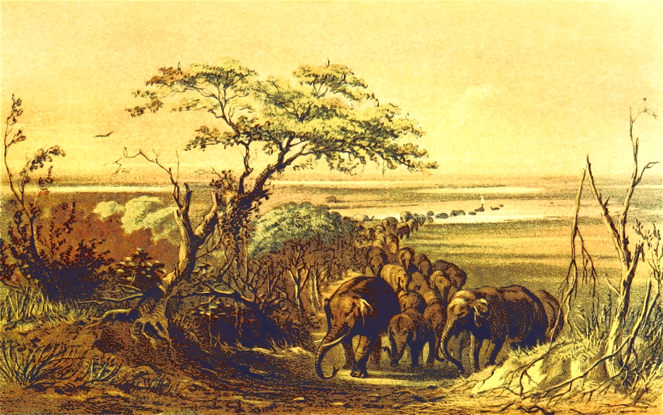 African scene 29 - Herd of Elephants Near the Tsad