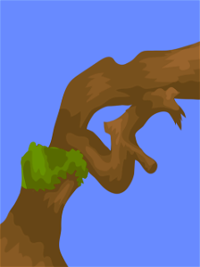 Tree trunk branch background
