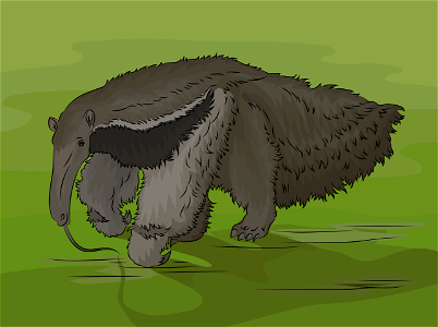 Anteater