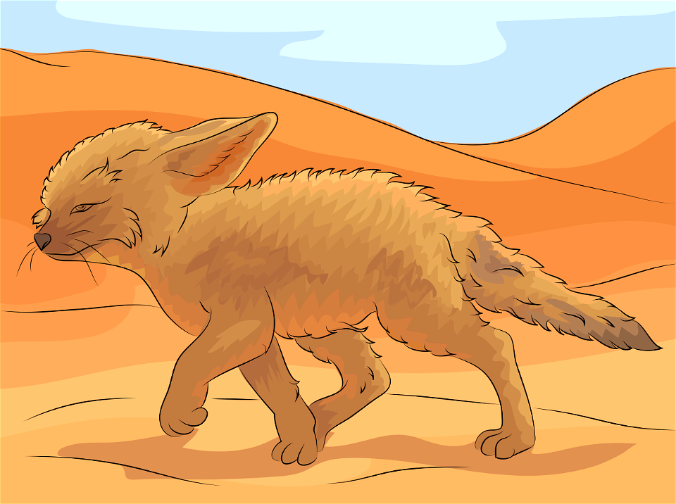 Fennec fox