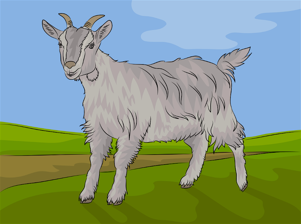 Goat
