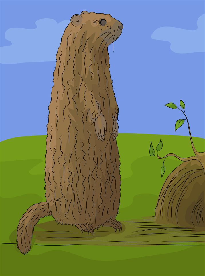 Groundhog