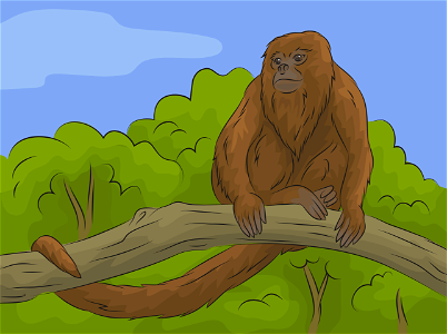 Howler monkey