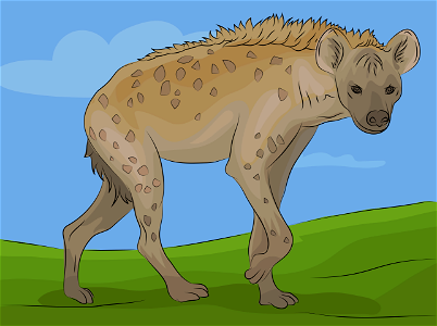 Hyena