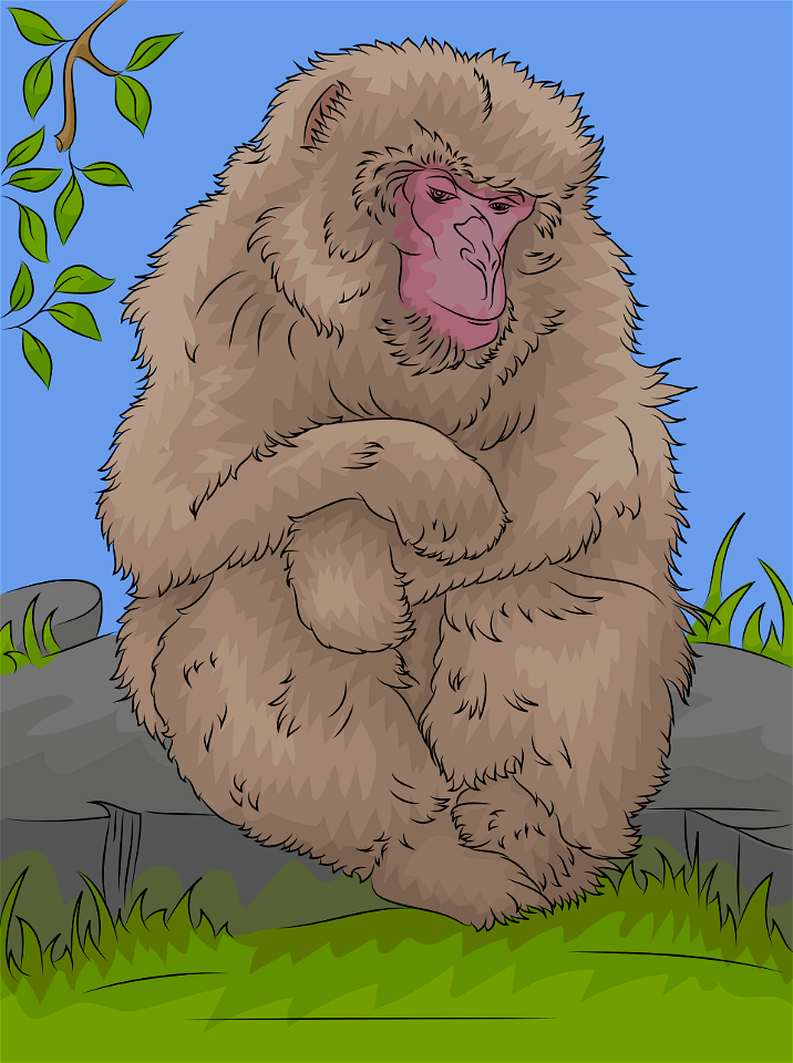 Japanesemacaque