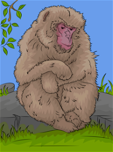 Japanesemacaque