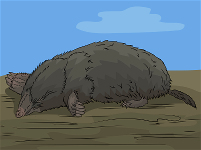 Mole