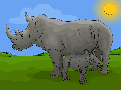 Rhino baby with mother