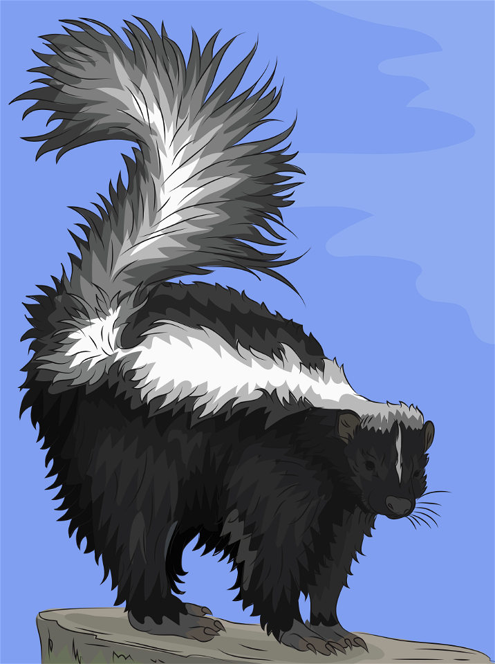 Skunk