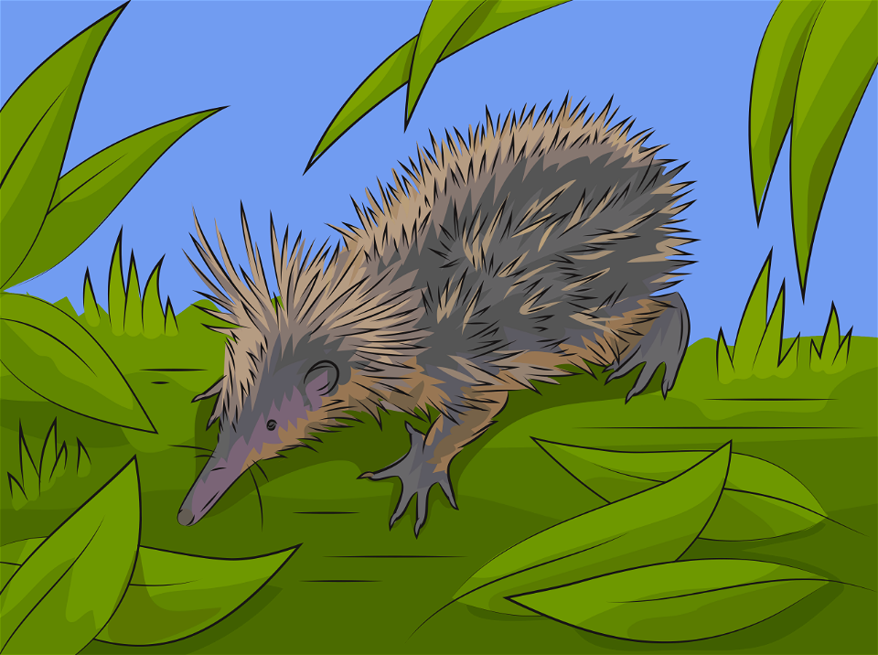 Tenrec