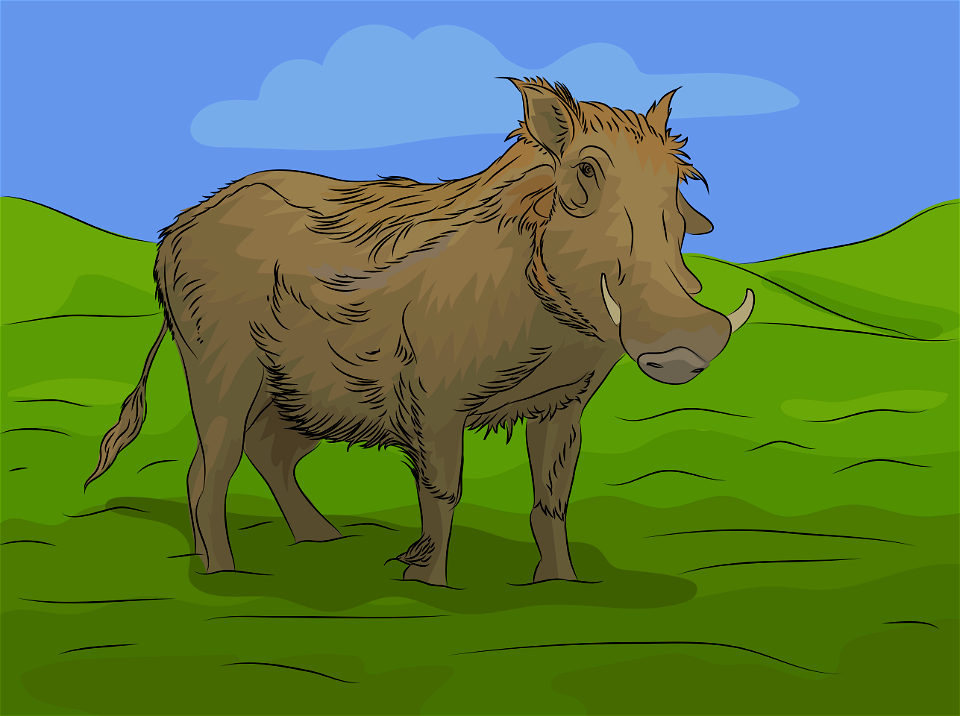 Warthog