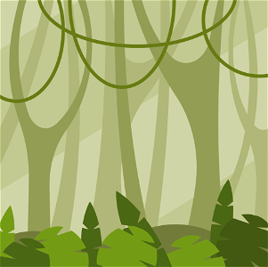Jungle forest